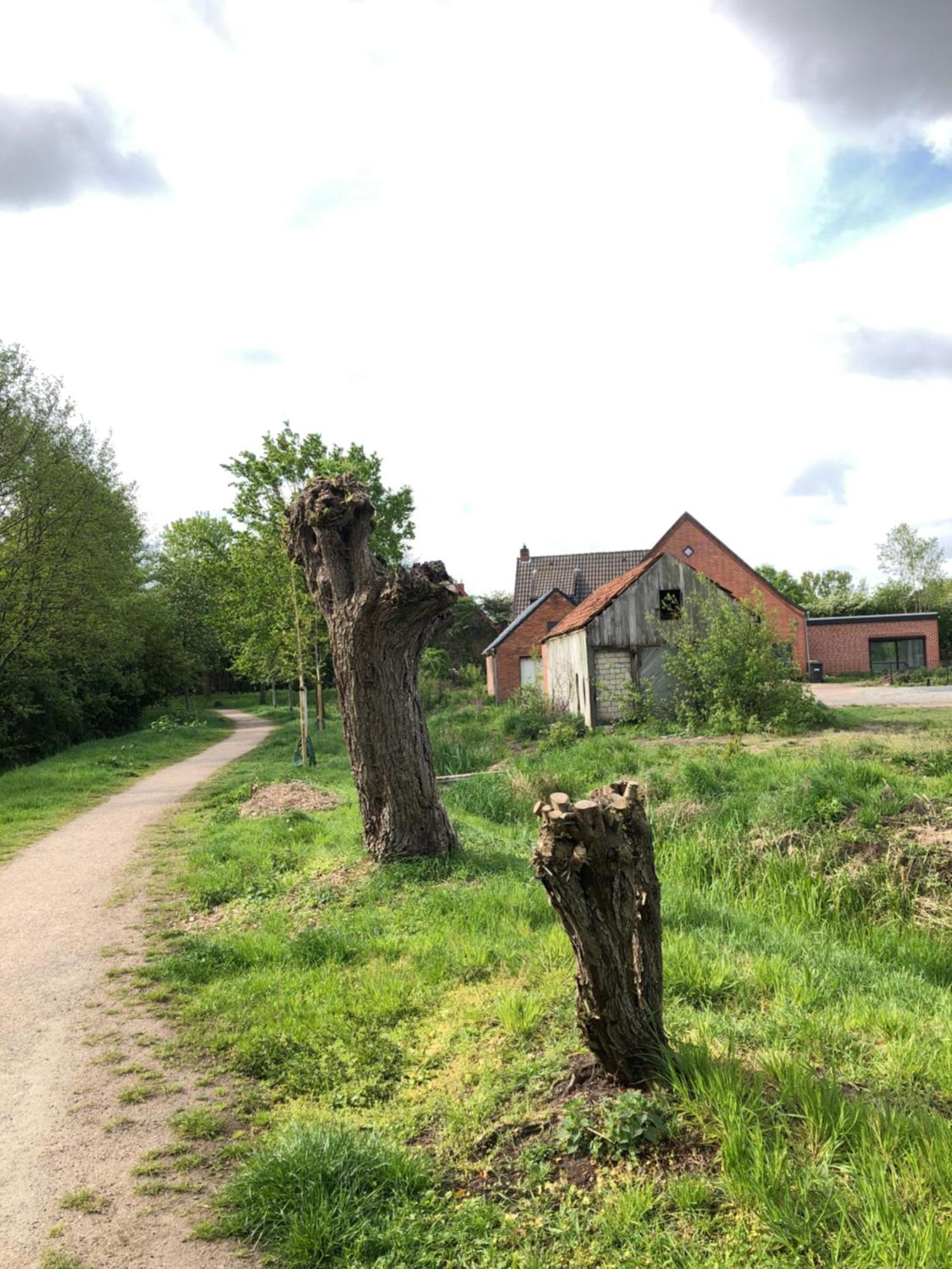 שטור Attraktives Landhaus Naehe Bremen מראה חיצוני תמונה